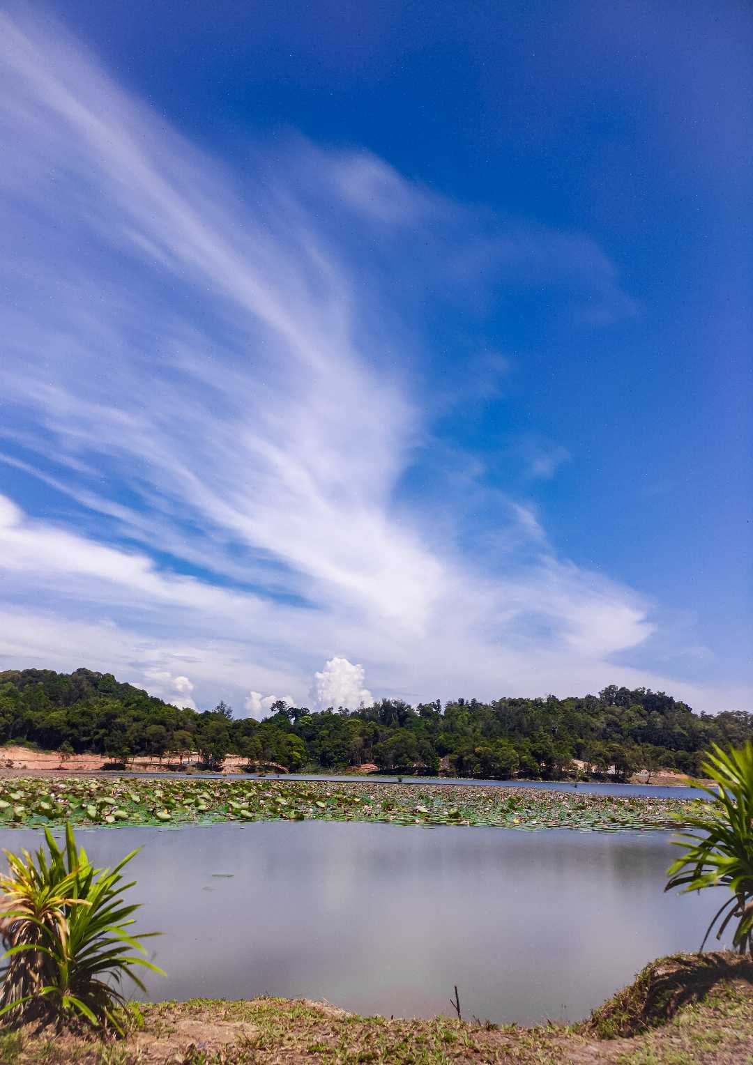 Beautiful view for chill