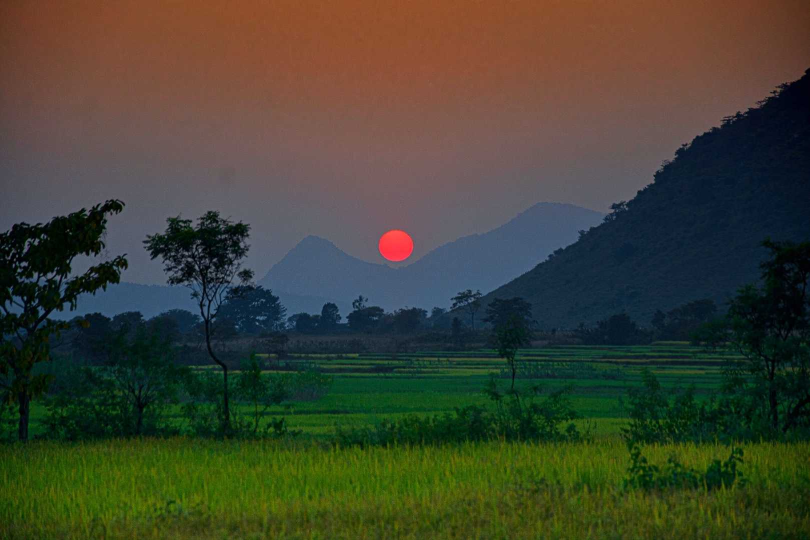 Natural View