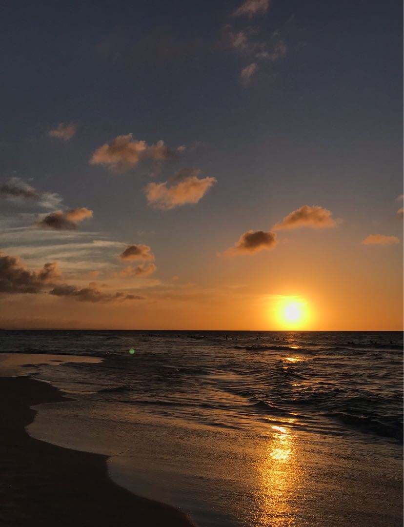 🌅 