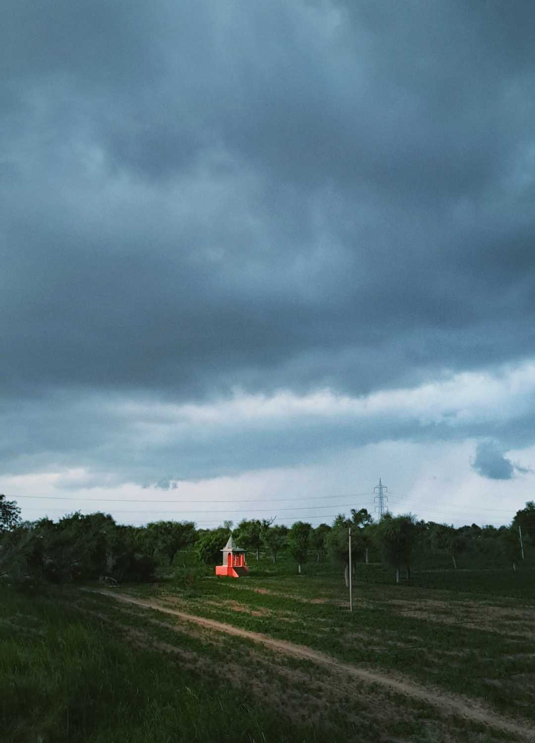 Nature 