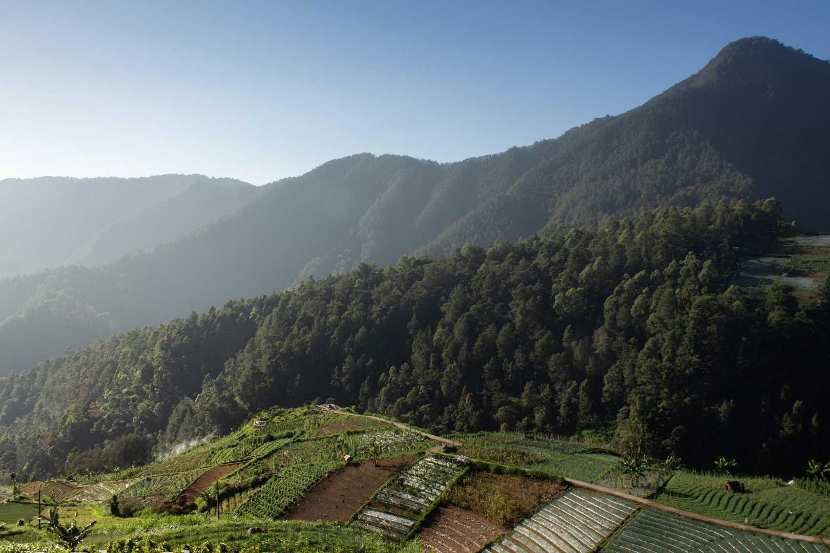 Obyek Wisata Wonomulyo
