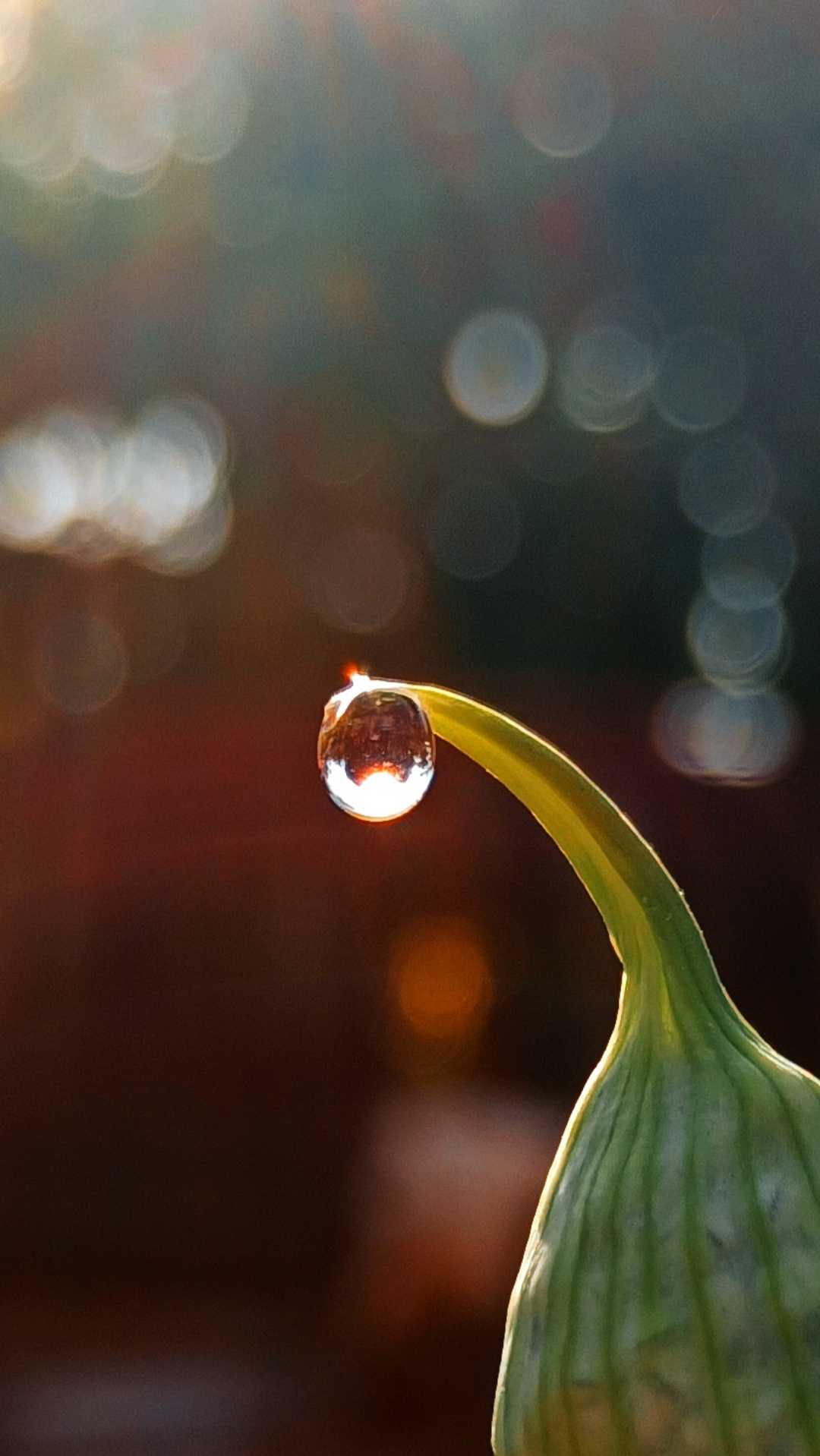 how is the Bokeh background?:)