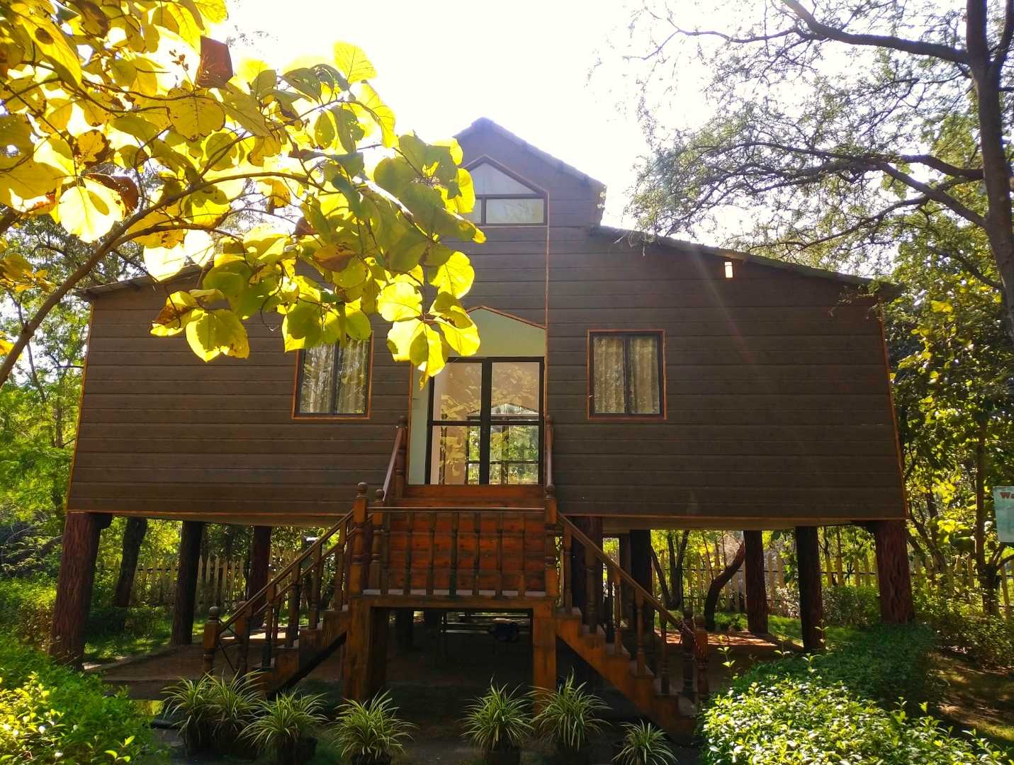 TREE 🌲 HOUSE...