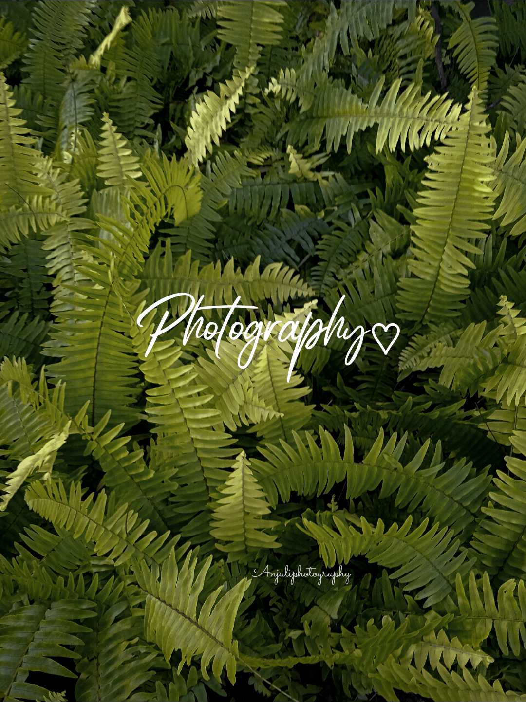 Nature 💚🌿