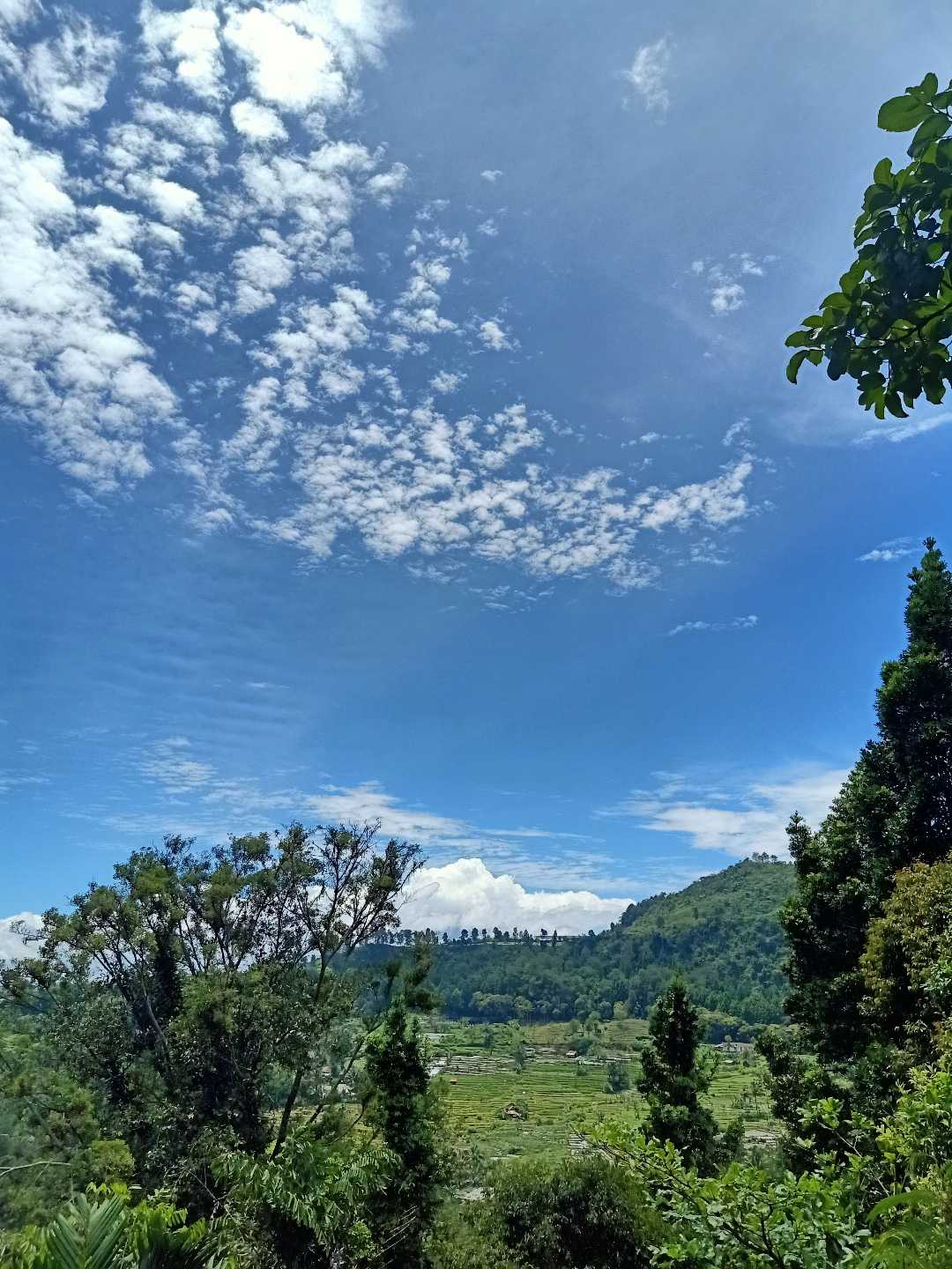 Blue Sky