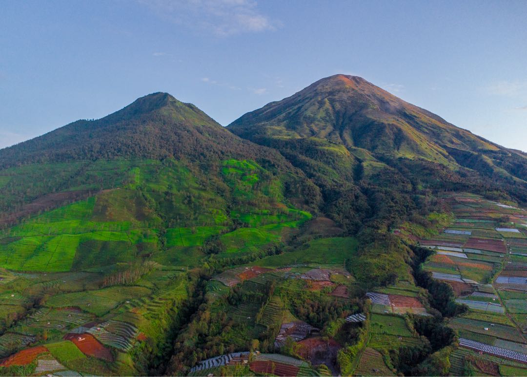 SINDORO - KEMBANG