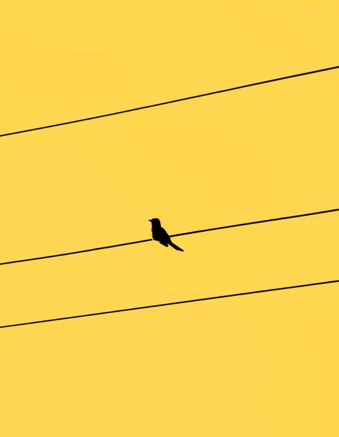 minimalist