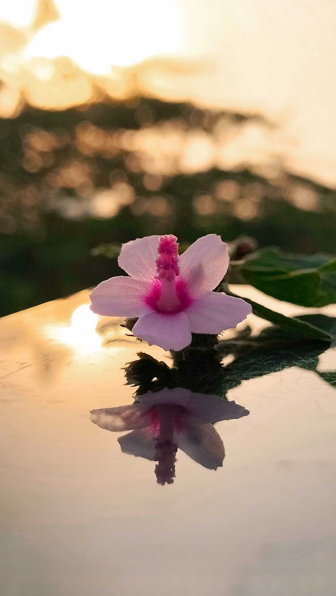 ✨💗
