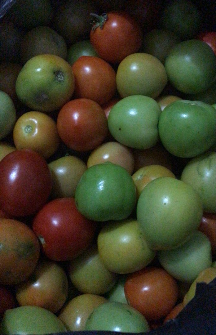 tomat