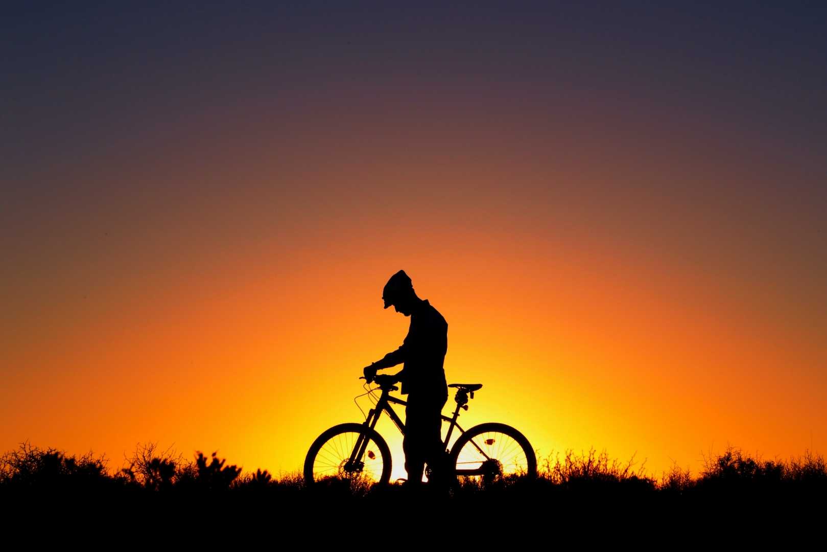 Cycle Raider | 🚵‍♂️