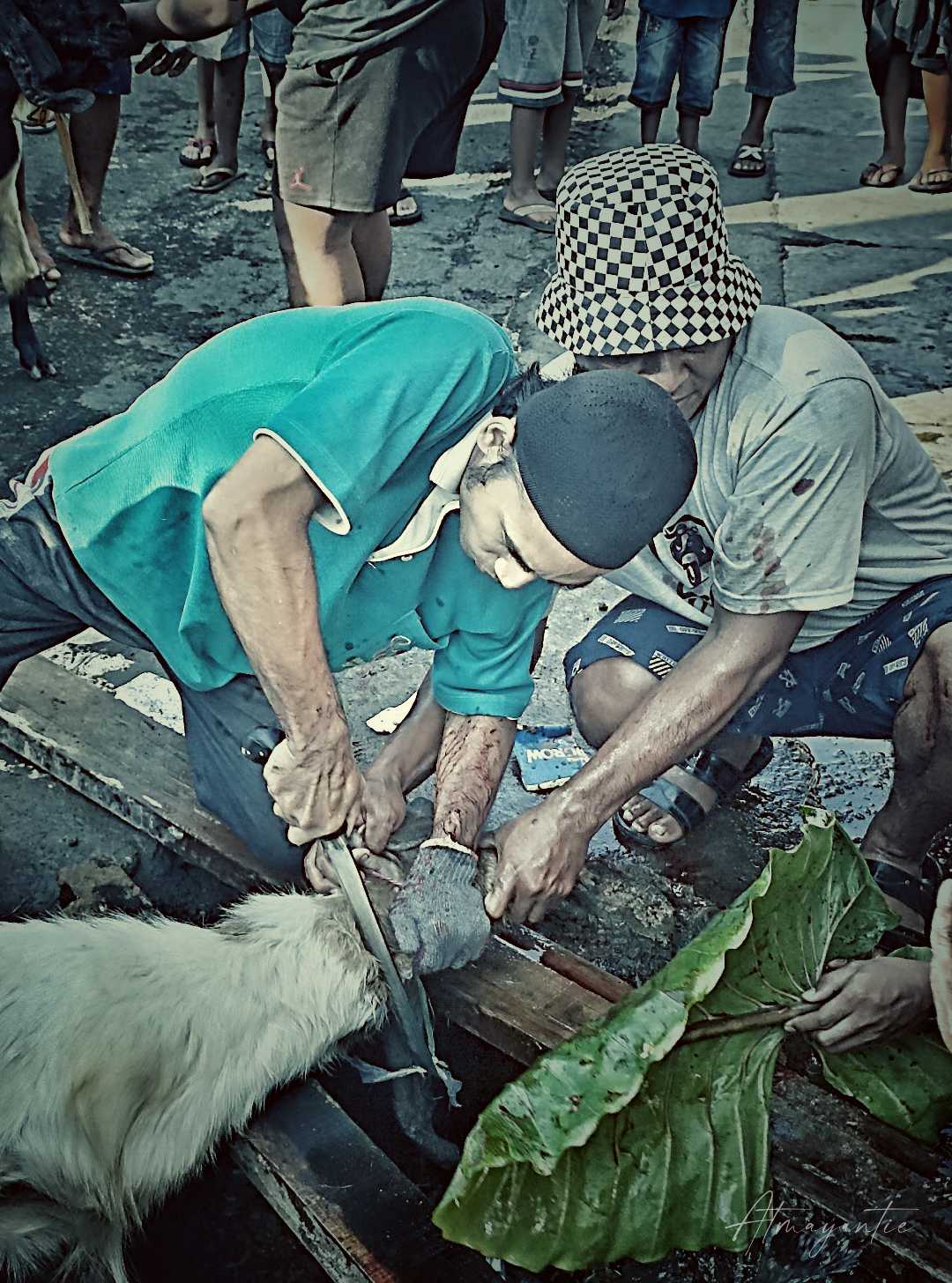 ~ Nuansa IDUL ADHA ~