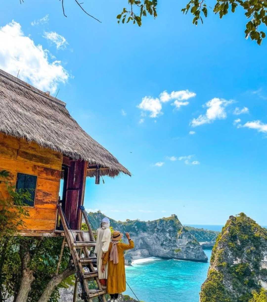 rumah pohon molenteng 