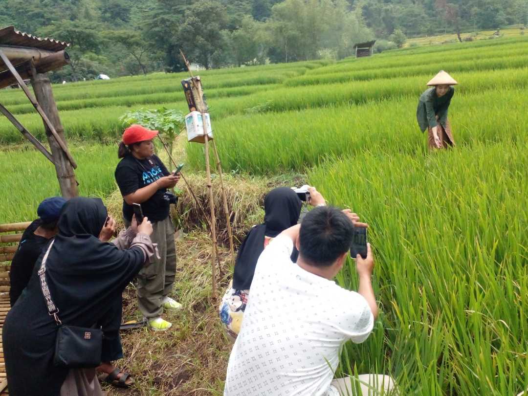PINDLE JATIM Masih Aktif