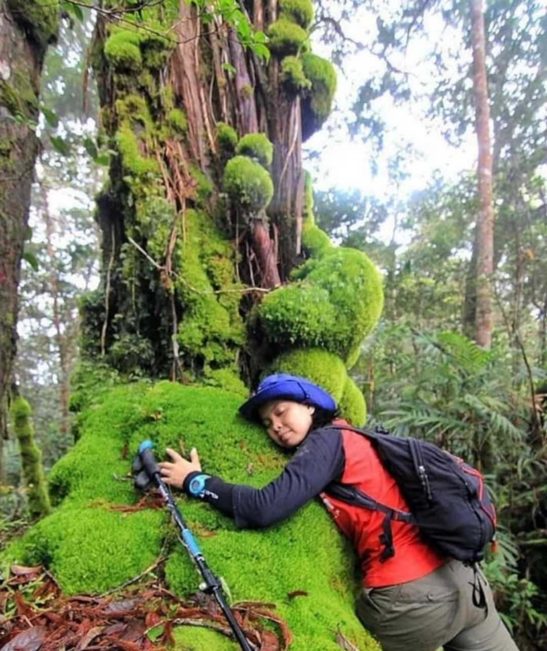 Cagar Alam Gunung Mutis