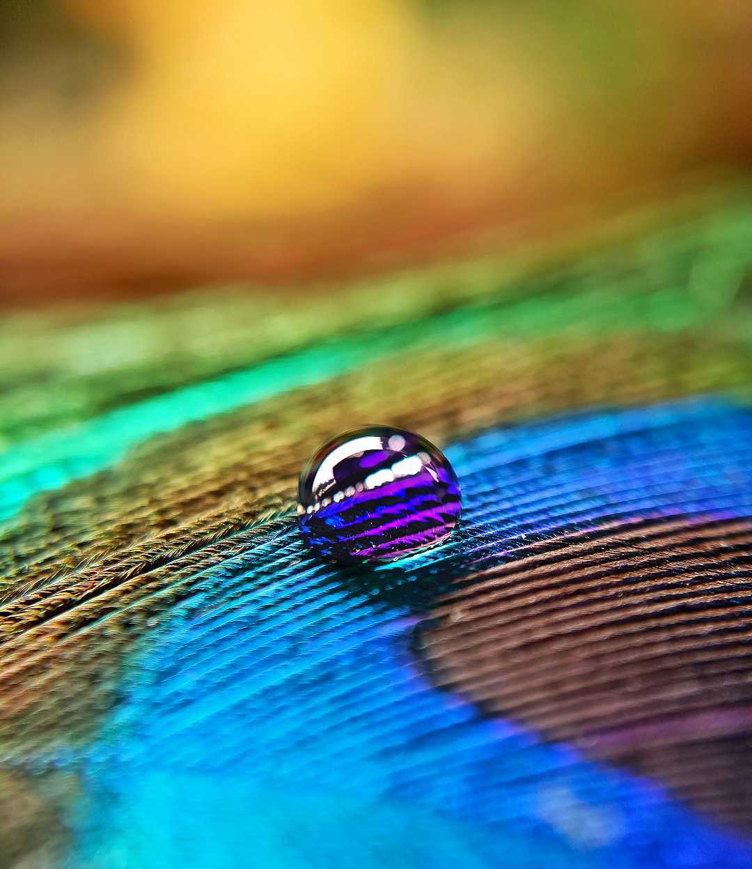 water drop 
