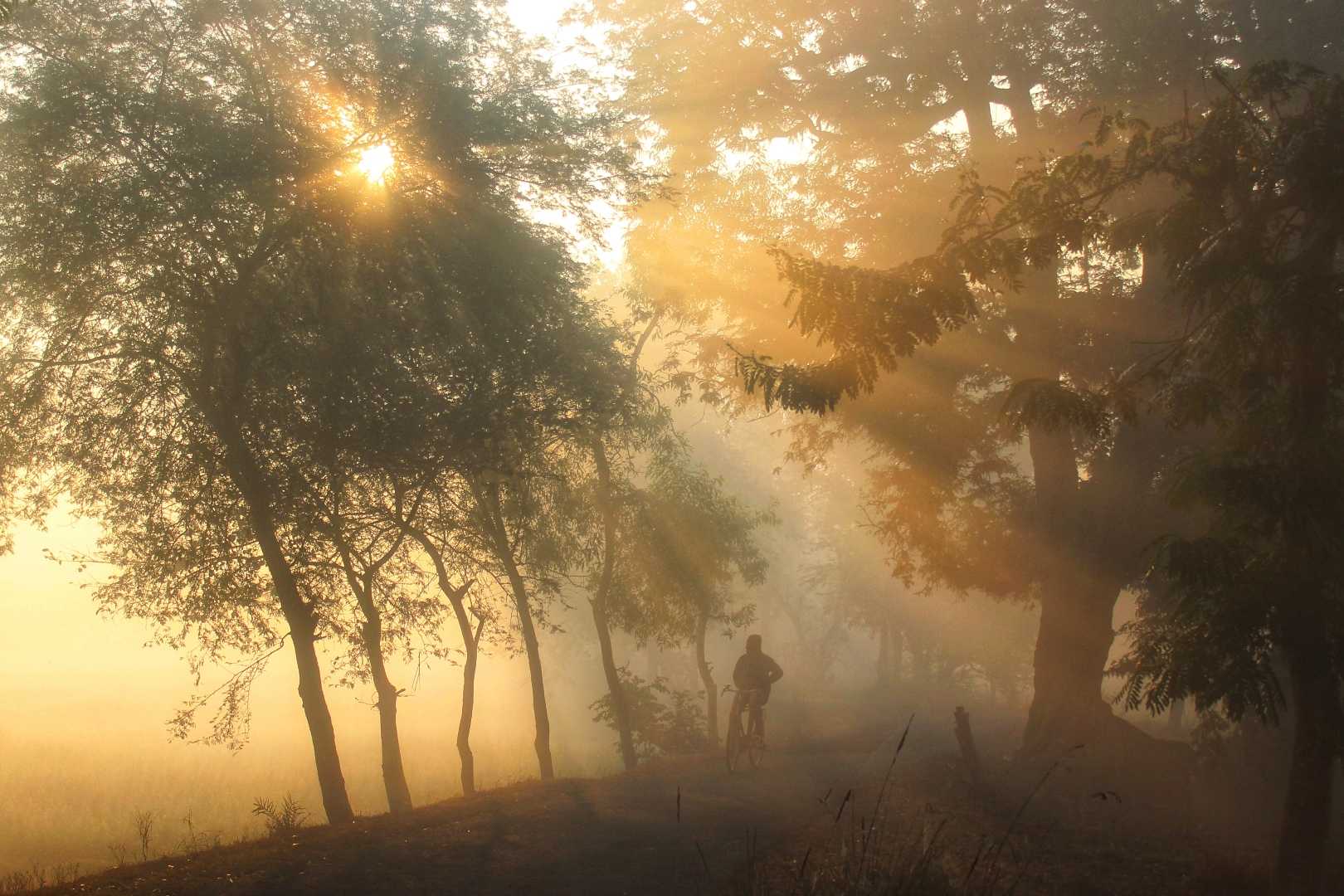winter light