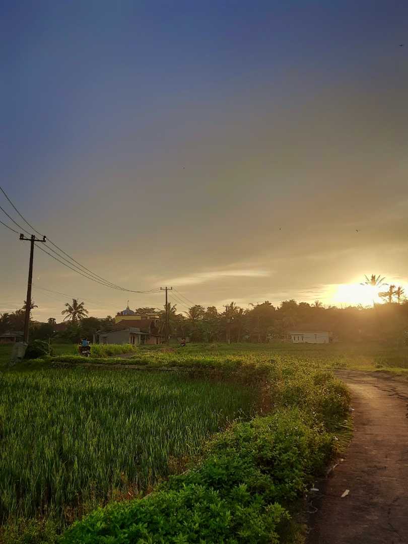 Village