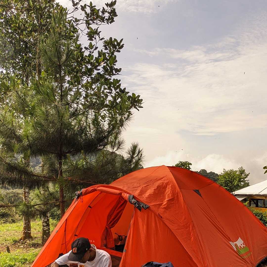 nature is indeed beautiful 