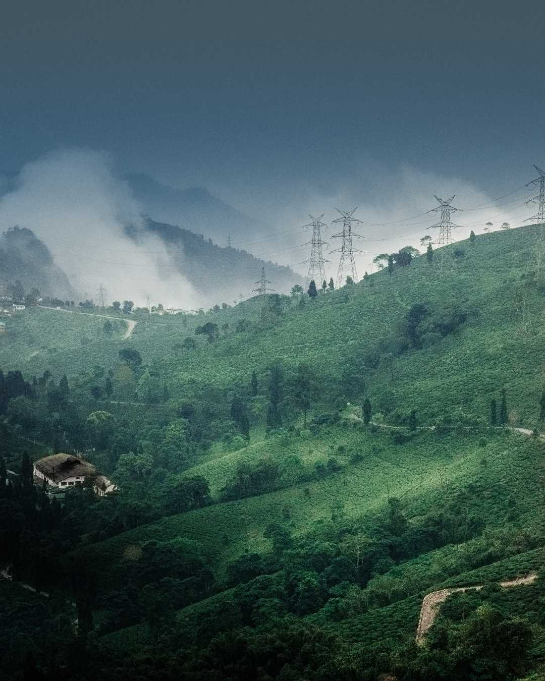 Tingling, Mirik, India ❤️