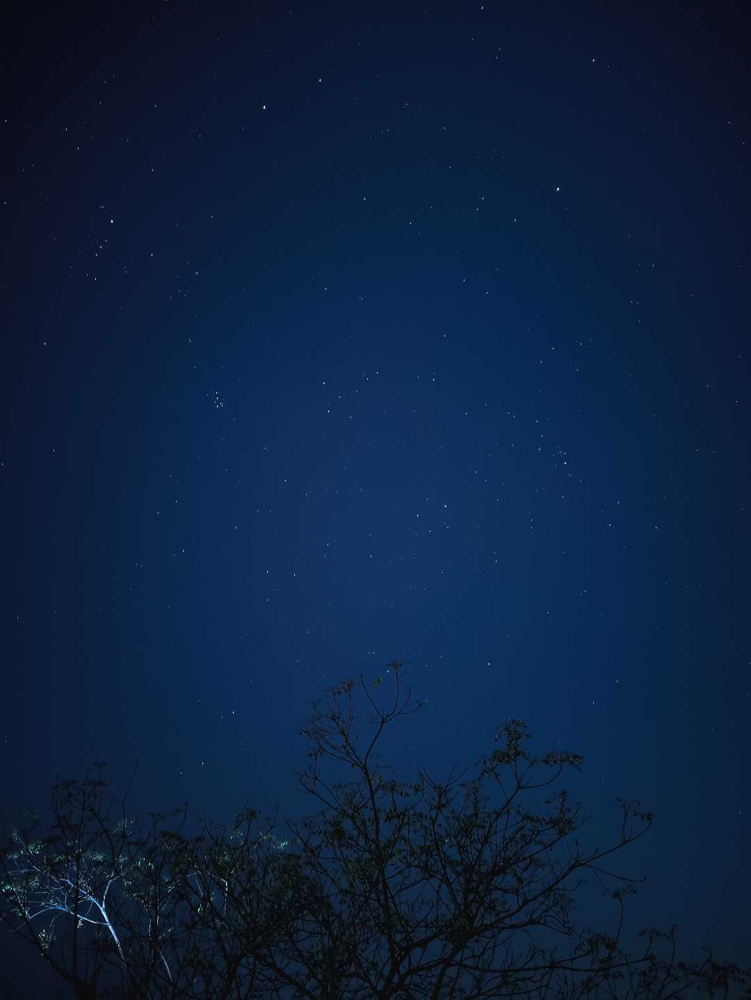 nightscape 