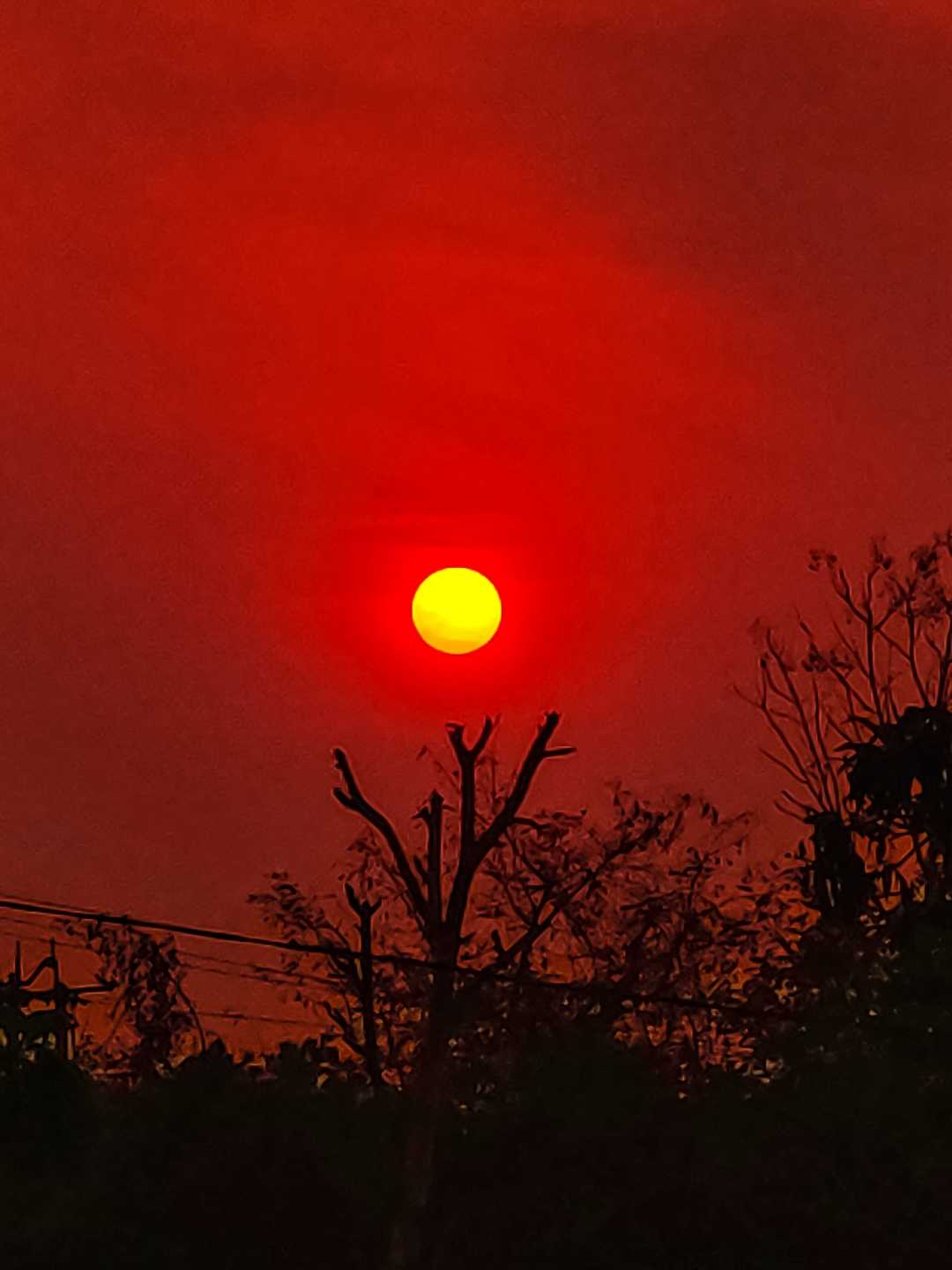 Sunset Photography 🌇🧡