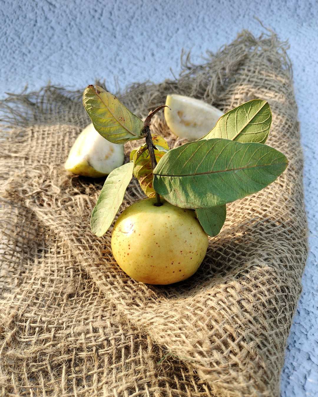 my winter's fav fruit ❤️