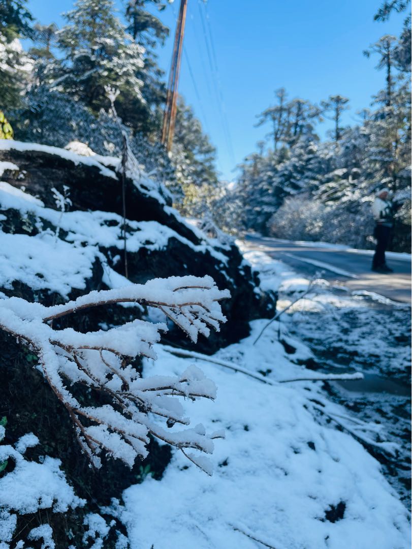 snow ❄️ 