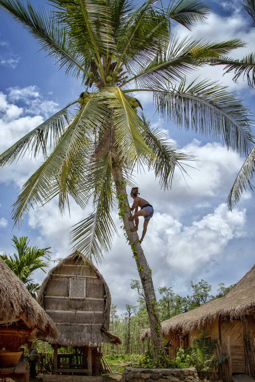 Petik kelapa