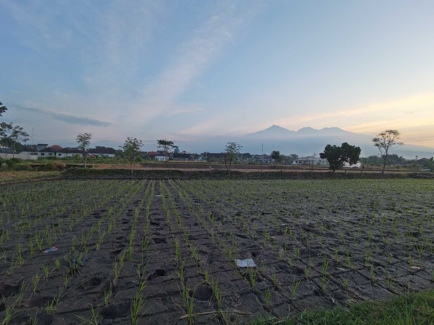 senja 01.08.2022 