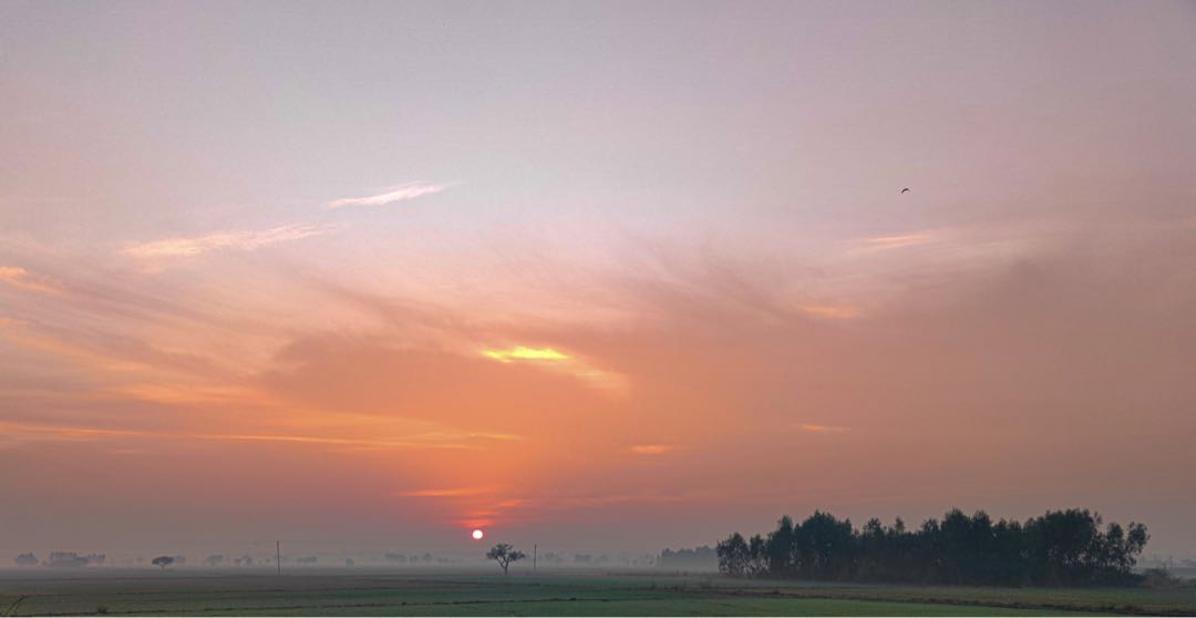 Early Morning
