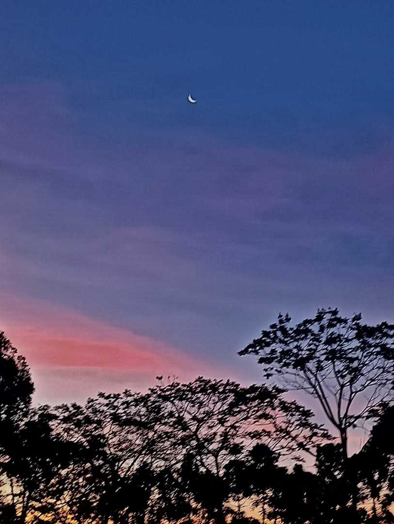 Junio 9 🌙✨