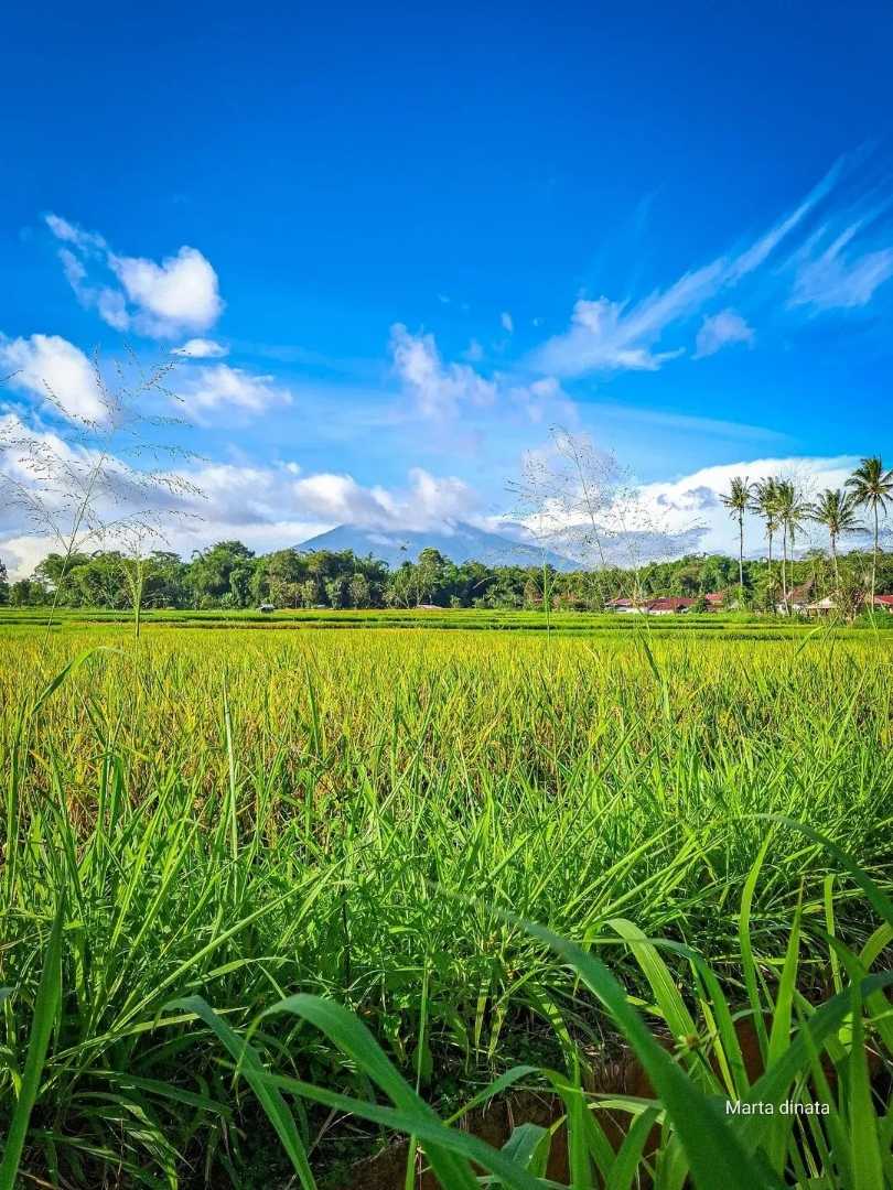Berselimut awan