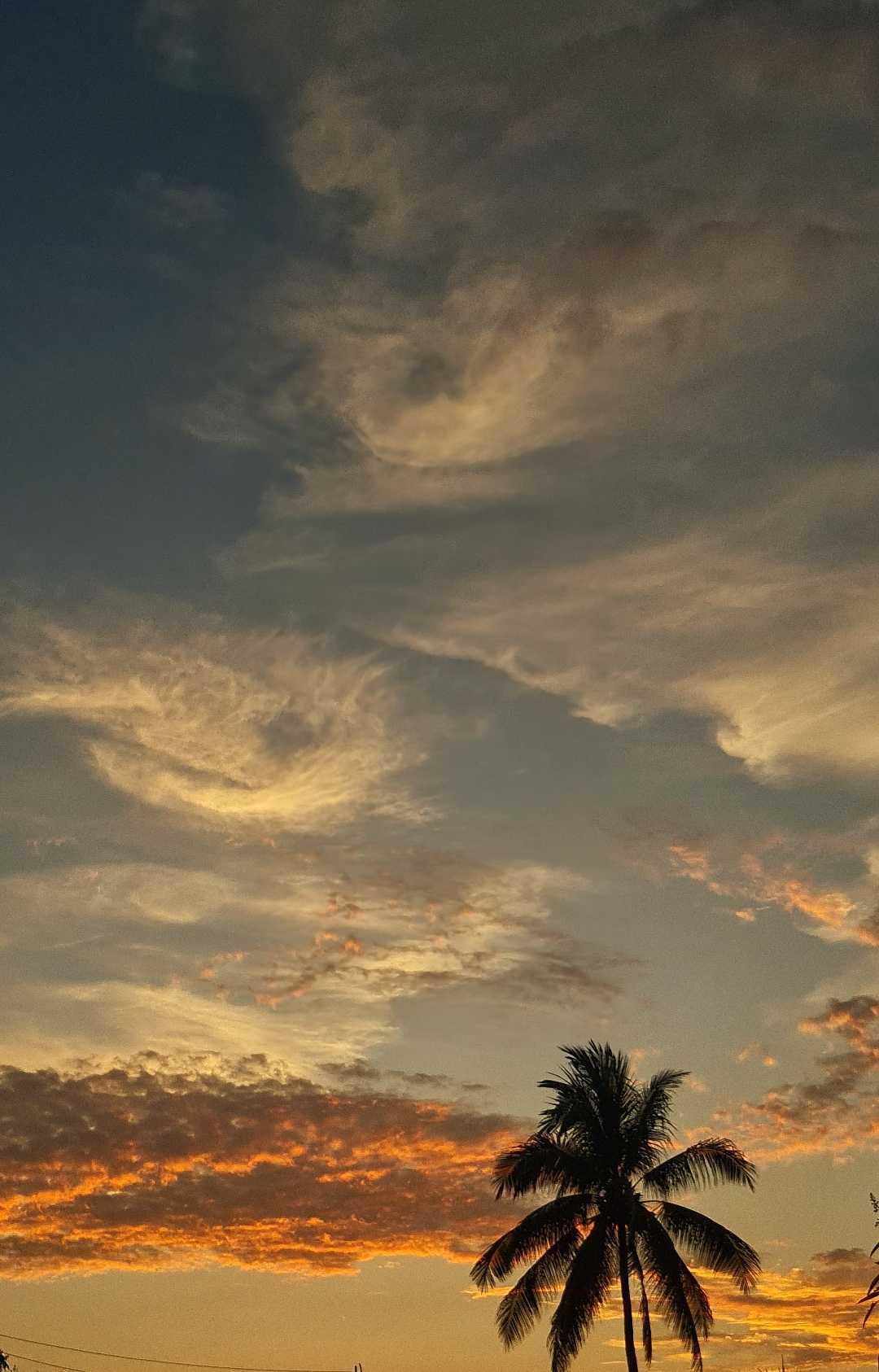 Sunsets