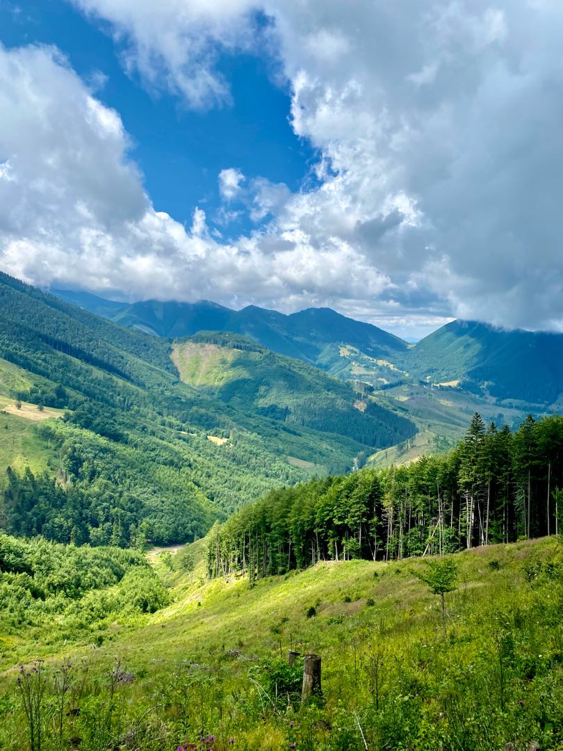 enjoy the view 🇸🇰