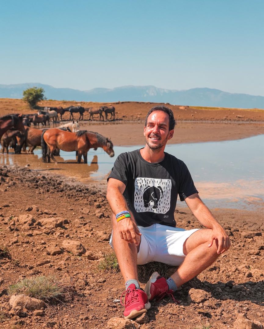Wild horses in Livno 