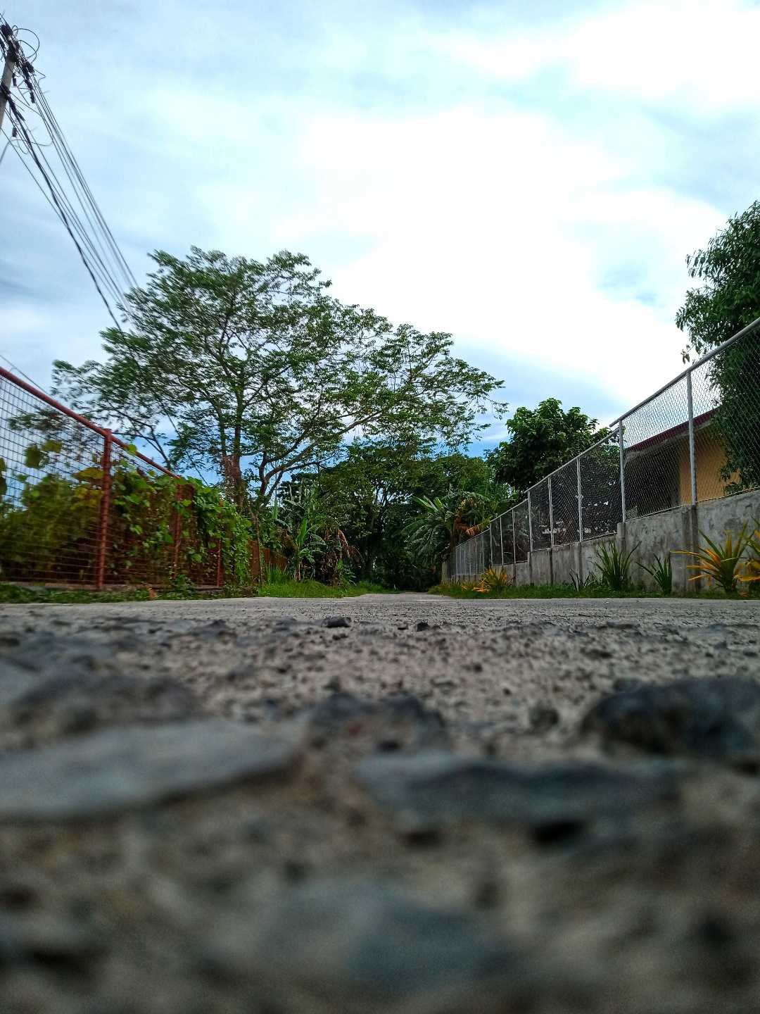 Road to RTHS. ✨💚