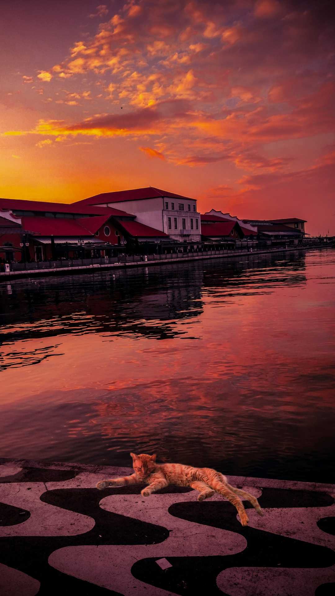 Konak pier🔅