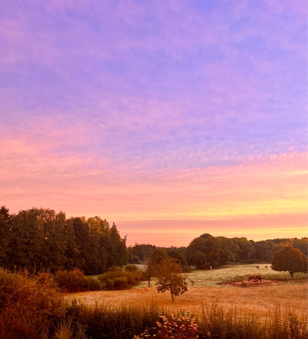 Autumn