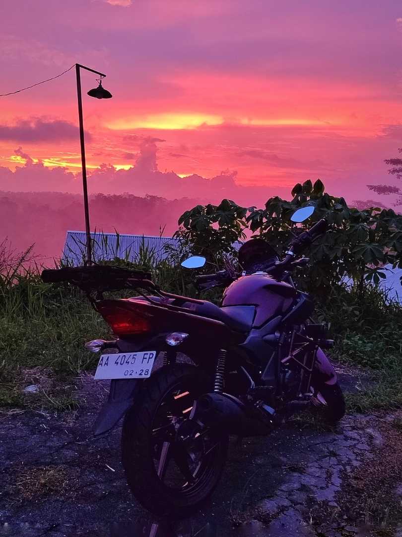 senja merona