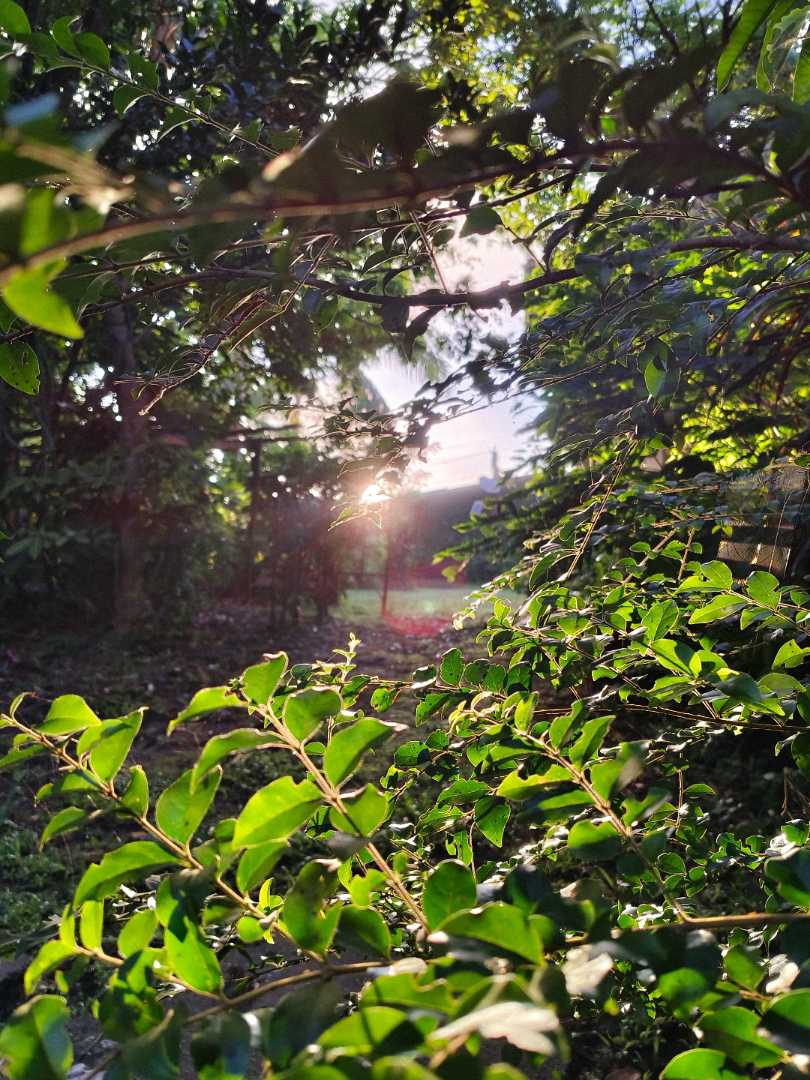 Sunrise 🌅🌄