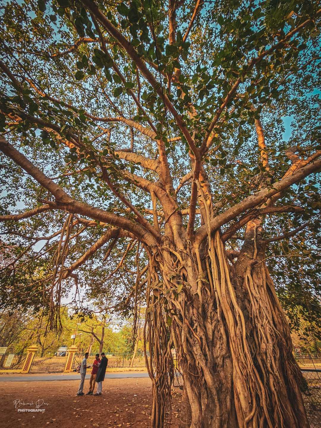 Shantiniketan 