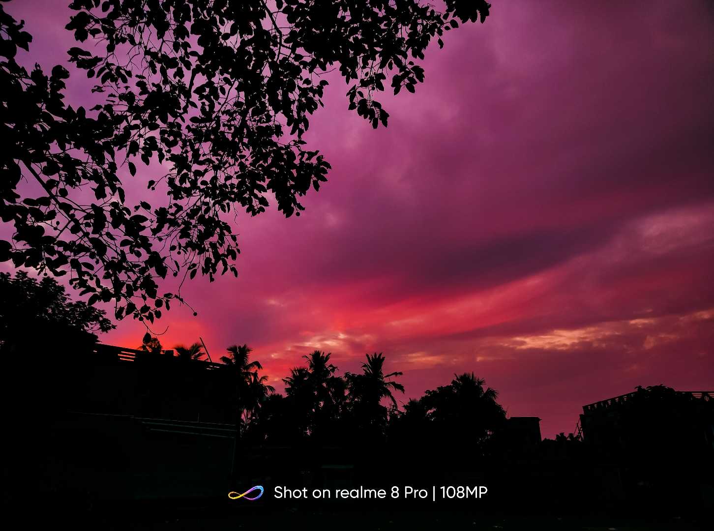 The sky is pink.✨
