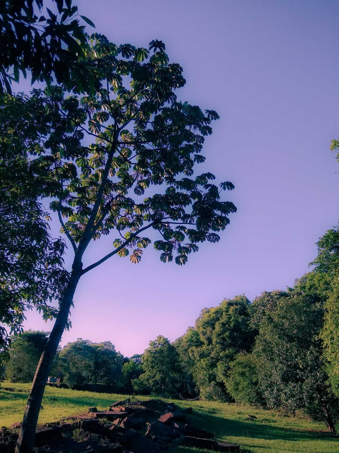 Naturaleza divina .. 