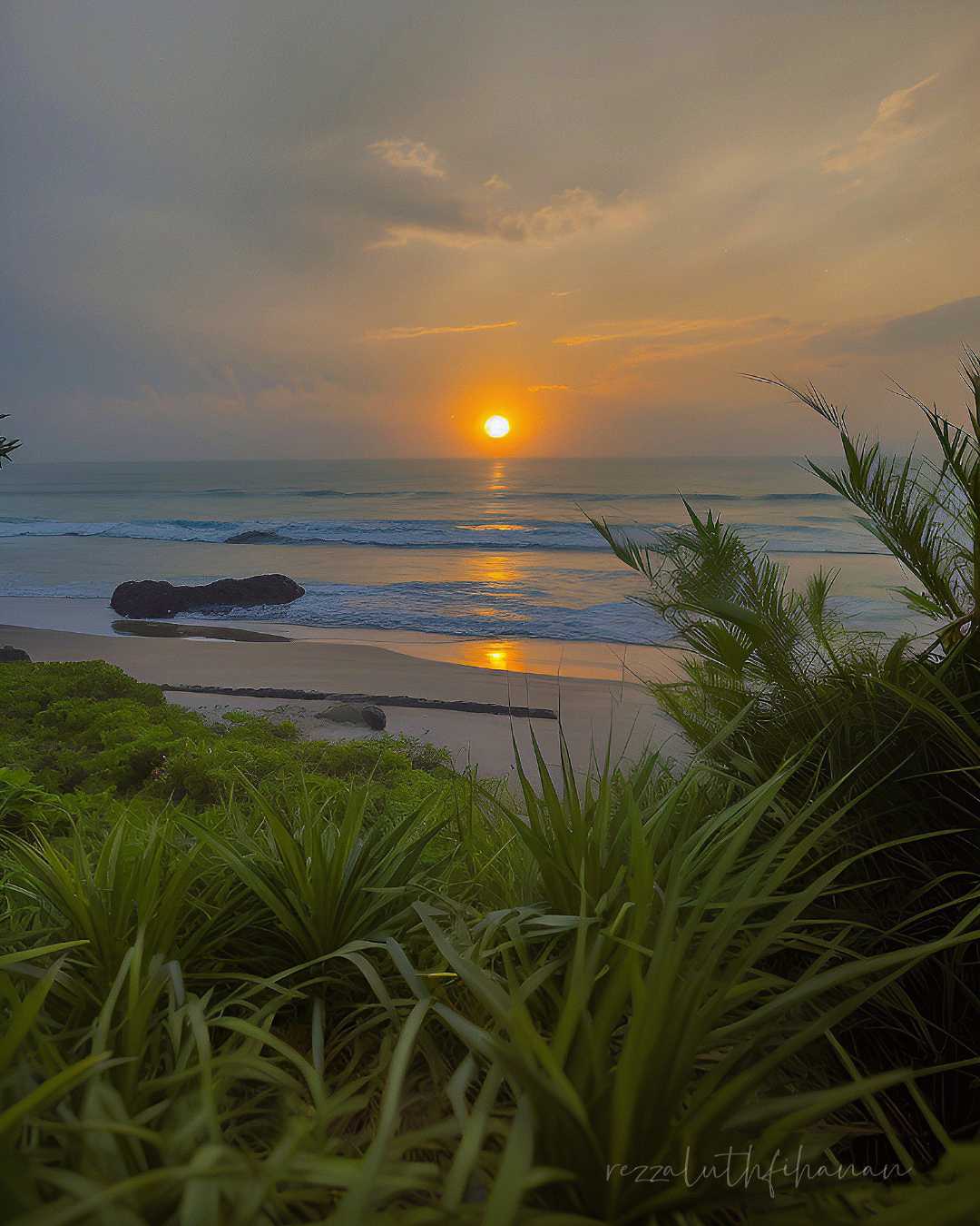 🌅💚