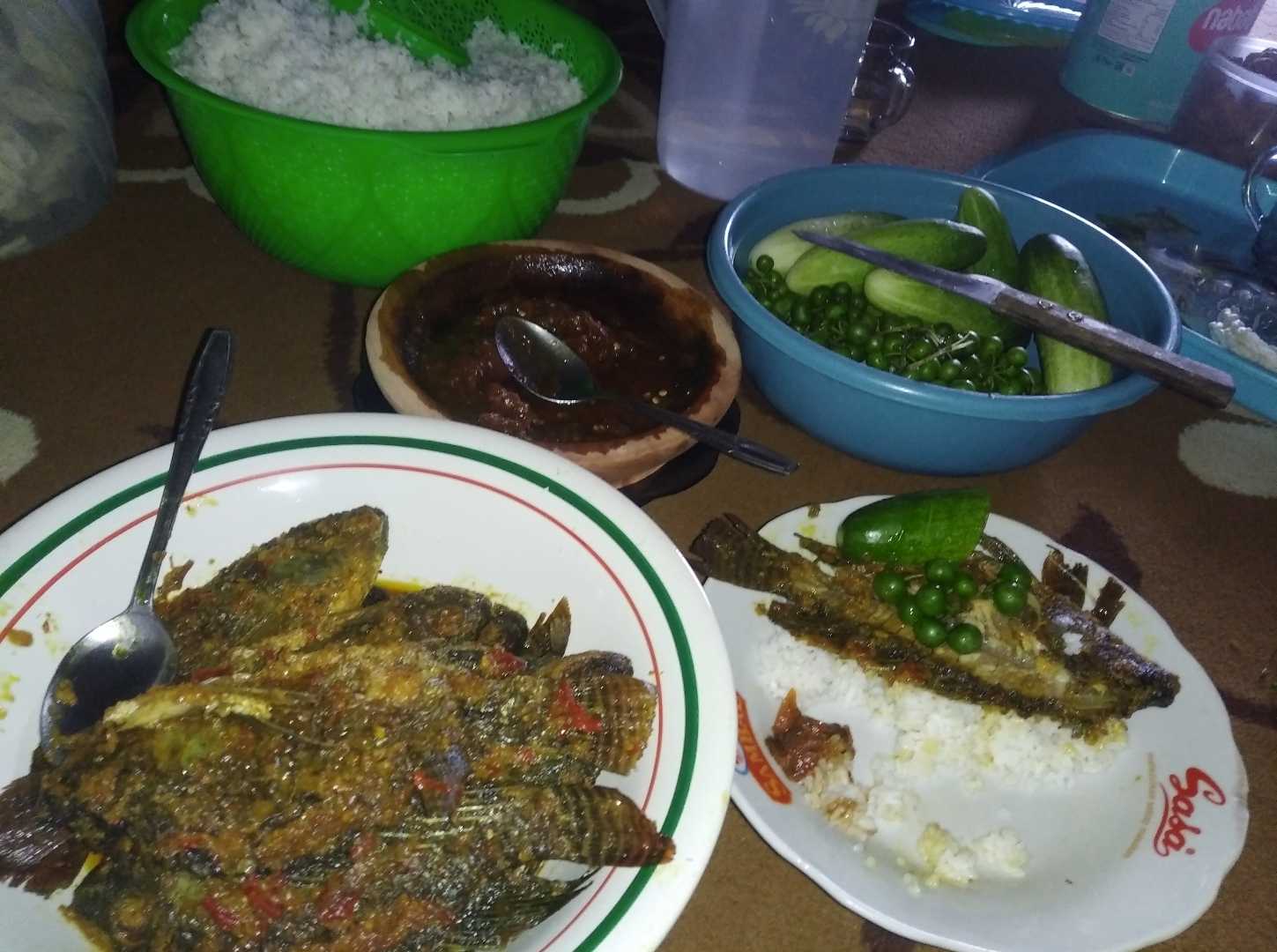ikan mujair