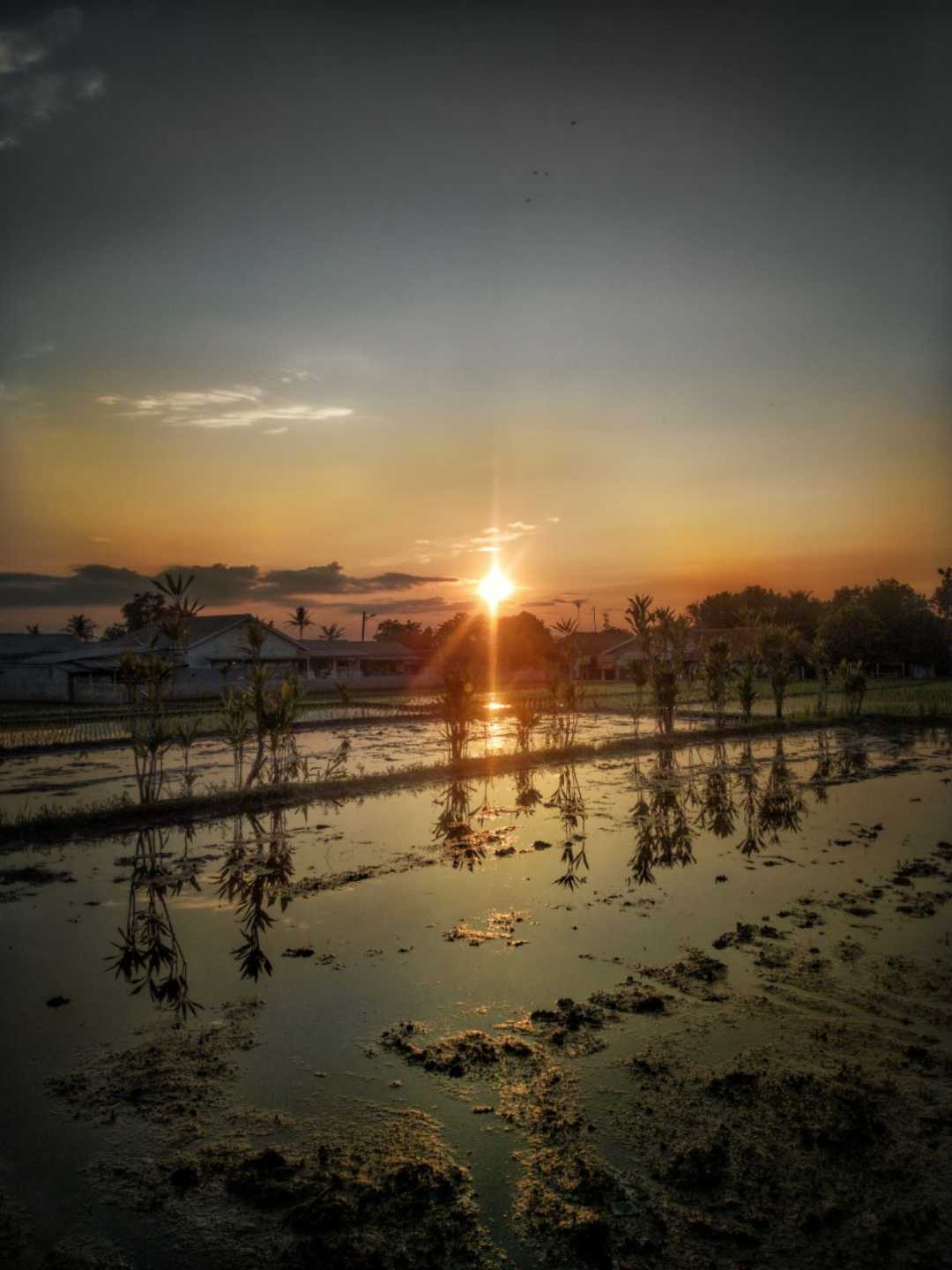 Suasana Pagi