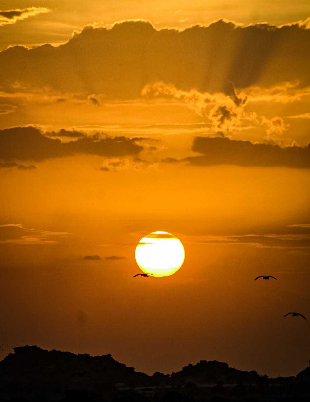 chasing sunset !