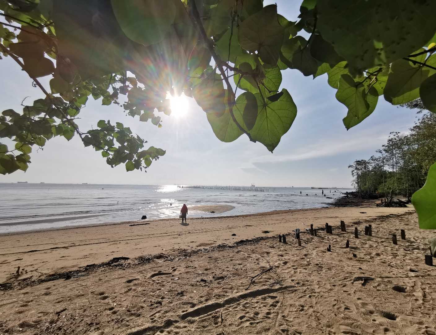 Menyapa Pagi