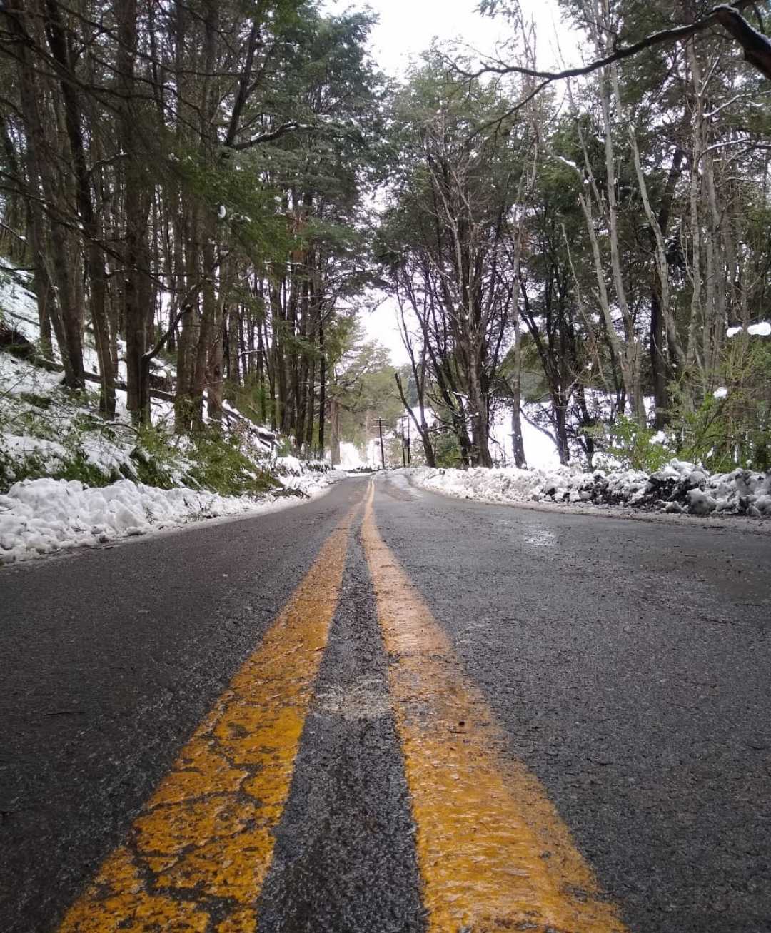 Rutas Argentinas