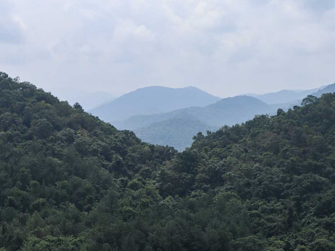 mountains